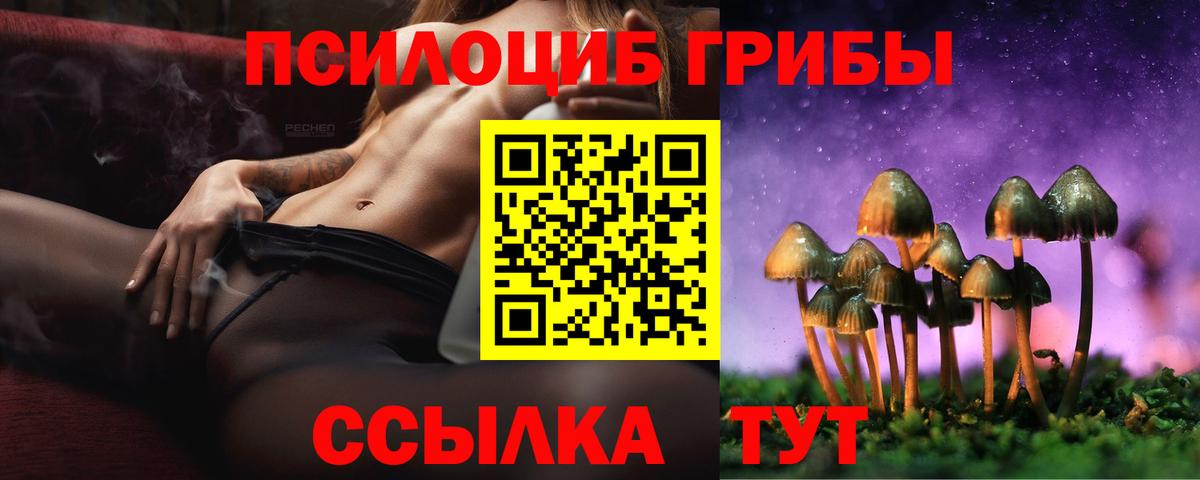 Псилоцибиновые грибы Psilocybe  Вход с VPN  Ливны 