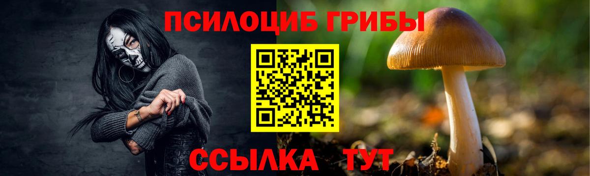 Псилоцибиновые грибы мицелий Ливны